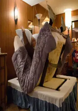 Несносный дед (2013) через торрент бесплатно Несносный дед (2013) фильм через торрент бесплатно