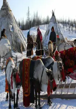 Белый ягель (2014) через торрент бесплатно Белый ягель (2014) фильм через торрент бесплатно