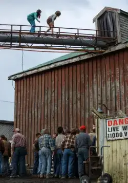 Пит и его дракон (2016) в хорошем качестве через торрент Пит и его дракон (2016) фильм в хорошем качестве через торрент