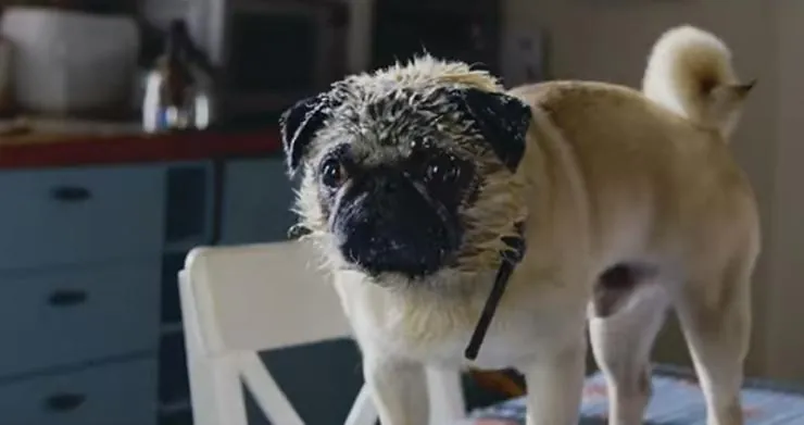 Патрик (2018) через торрент скачать Патрик (2018) фильм через торрент скачать