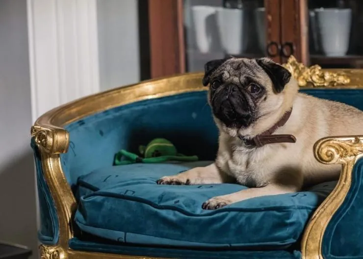 Патрик (2018) через торрент бесплатно Патрик (2018) фильм через торрент бесплатно