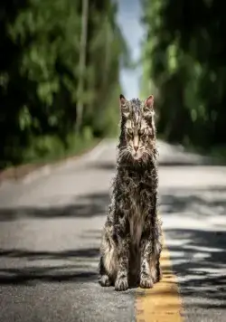 Кладбище домашних животных (2019) через торрент бесплатно Кладбище домашних животных (2019) фильм через торрент бесплатно