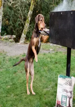 Путь домой (2019) через торрент скачать Путь домой (2019) фильм через торрент скачать