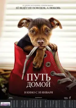 Путь домой / A Dog's Way Home (2019) фильм скачать через торрент в хорошем качестве