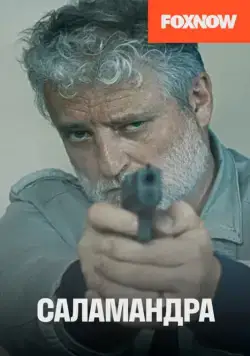 Саламандра / Salamander (2012) сериал скачать через торрент в хорошем качестве