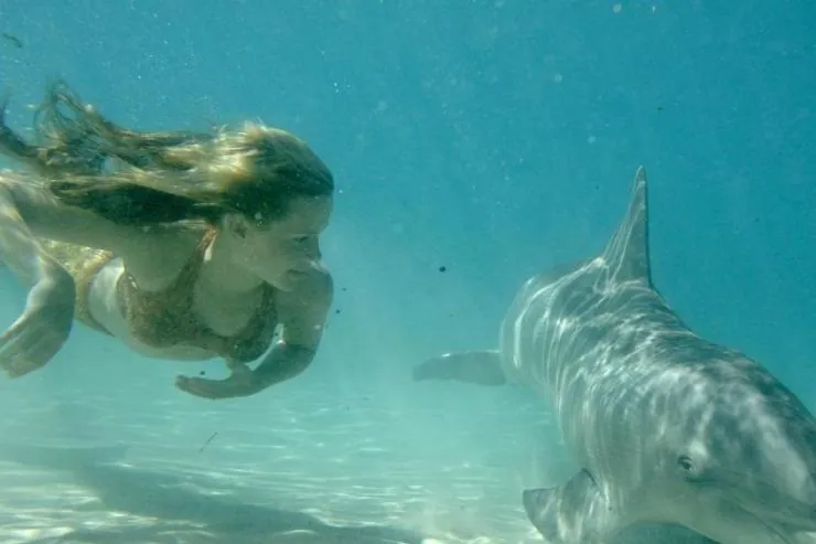 H2O: Просто добавь воды (2006) в хорошем качестве через торрент H2O: Просто добавь воды (2006) сериал в хорошем качестве через торрент