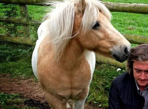 BBC: Невидимые миры (2010) через торрент скачать BBC: Невидимые миры (2010) сериал через торрент скачать