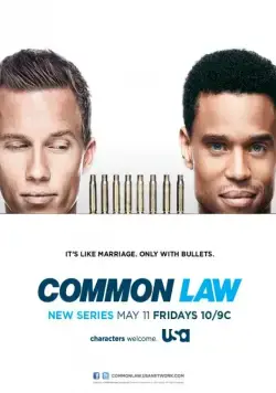 Общее дело / Common Law (2012) сериал скачать через торрент в хорошем качестве