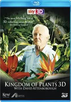 В королевстве растений / Kingdom of Plants 3D (2012) сериал скачать через торрент в хорошем качестве