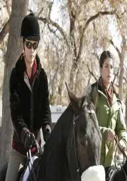 Дикий огонь (2005) через торрент бесплатно Дикий огонь (2005) сериал через торрент бесплатно