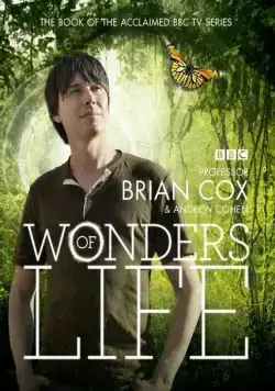 Чудеса жизни / Wonders of Life (2013) сериал скачать через торрент в хорошем качестве