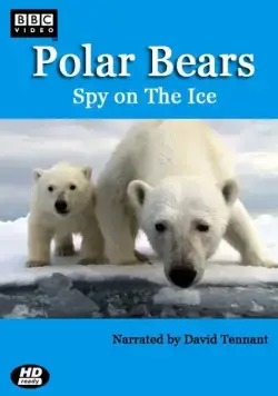 Белый медведь: Шпион во льдах / Polar Bears: Spy on the Ice (2011) сериал скачать через торрент в хорошем качестве