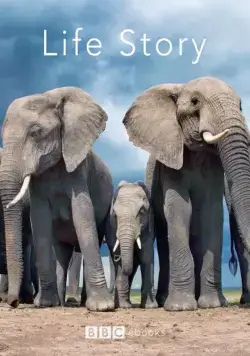 История жизни / Life Story (2014) сериал скачать через торрент в хорошем качестве