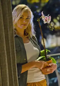 Декстер (2006) через торрент скачать Декстер (2006) сериал через торрент скачать