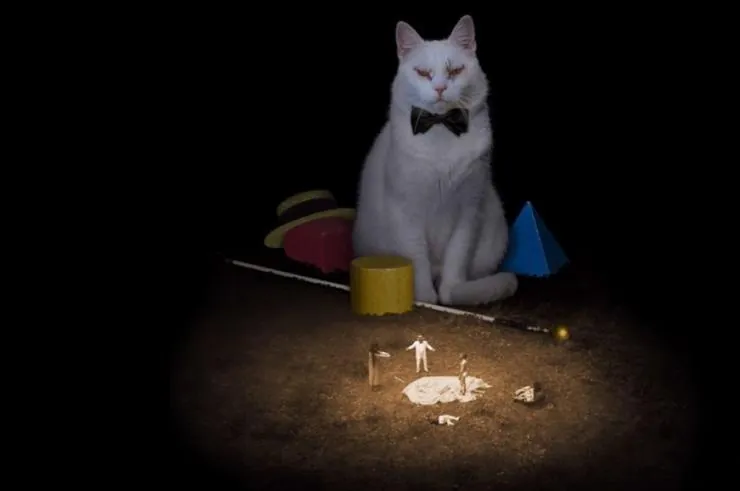 Коко-ди Коко-да (2019) через торрент бесплатно Коко-ди Коко-да (2019) фильм через торрент бесплатно