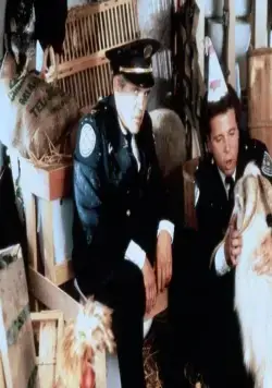 Полицейская академия 5: Место назначения – Майами Бич (1988) через торрент скачать Полицейская академия 5: Место назначения – Майами Бич (1988) фильм через торрент скачать