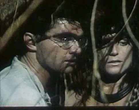 Заклятие долины змей (1987) через торрент скачать Заклятие долины змей (1987) фильм через торрент скачать