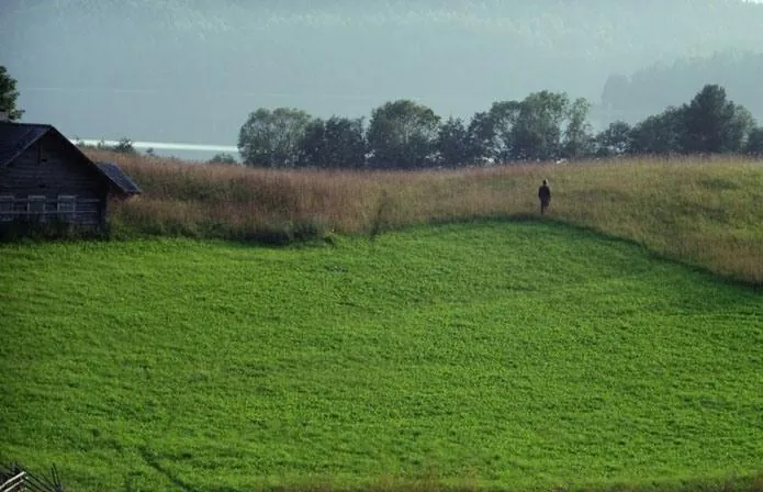 Белые ночи почтальона Алексея Тряпицына (2014) через торрент скачать Белые ночи почтальона Алексея Тряпицына (2014) фильм через торрент скачать
