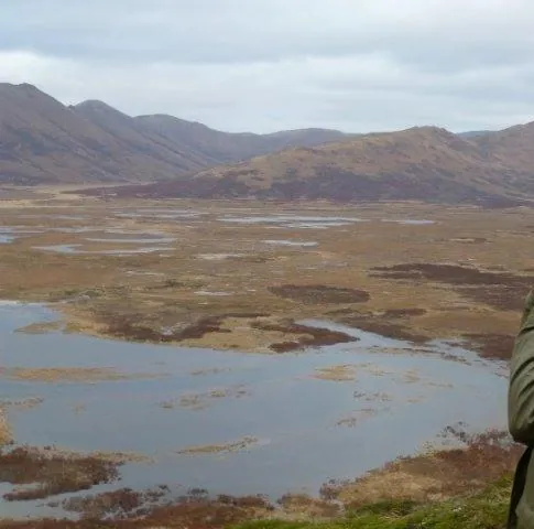 Охота (2014) через торрент бесплатно Охота (2014) сериал через торрент бесплатно