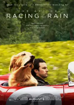 Невероятный мир глазами Энцо / The Art of Racing in the Rain 2019 скачать через торрент фильм в хорошем качестве
