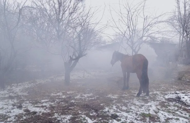 Гогита. Новая жизнь (2016) через торрент бесплатно Гогита. Новая жизнь (2016) фильм через торрент бесплатно