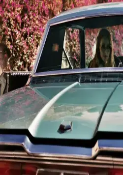 Дама в очках и с ружьем в автомобиле (2015) в хорошем качестве через торрент Дама в очках и с ружьем в автомобиле (2015) фильм в хорошем качестве через торрент