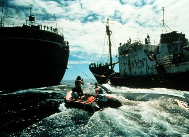 Как изменить мир (2015) через торрент скачать Как изменить мир (2015) фильм через торрент скачать