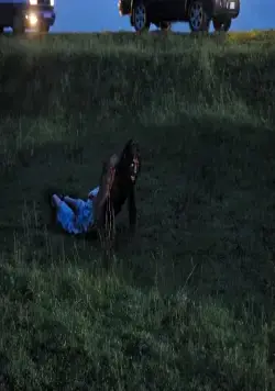 Оборотень (2013) в хорошем качестве через торрент Оборотень (2013) фильм в хорошем качестве через торрент