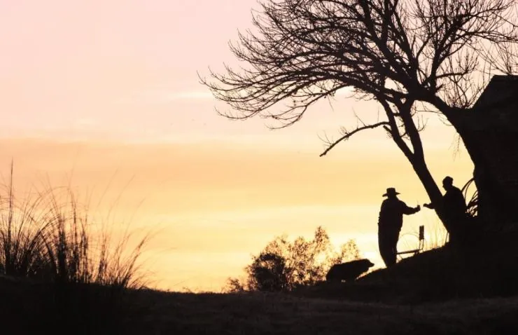 Да здравствуют антиподы! (2011) через торрент бесплатно Да здравствуют антиподы! (2011) фильм через торрент бесплатно