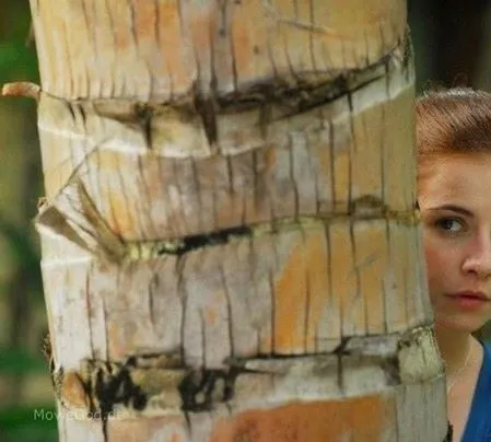 Турецкий для начинающих (2012) в хорошем качестве через торрент Турецкий для начинающих (2012) фильм в хорошем качестве через торрент