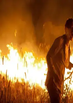 Колоски (2012) в хорошем качестве через торрент Колоски (2012) фильм в хорошем качестве через торрент