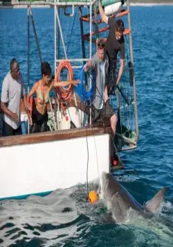 Заклинательница акул (2011) через торрент скачать Заклинательница акул (2011) фильм через торрент скачать