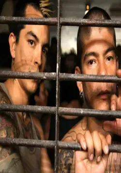 «Весёлые» каникулы (2012) через торрент скачать «Весёлые» каникулы (2012) фильм через торрент скачать