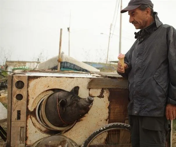 Перелетные свиньи (2011) через торрент скачать Перелетные свиньи (2011) фильм через торрент скачать