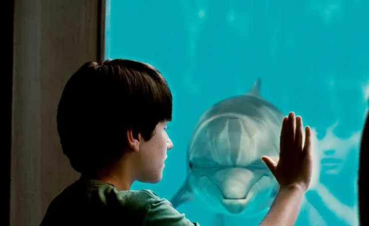 История дельфина (2011) через торрент скачать История дельфина (2011) фильм через торрент скачать