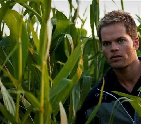 Шелуха (2010) в хорошем качестве через торрент Шелуха (2010) фильм в хорошем качестве через торрент