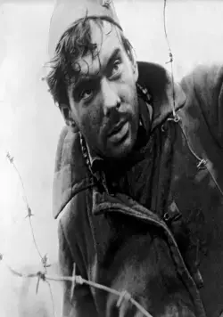 Летят журавли (1957) через торрент скачать Летят журавли (1957) фильм через торрент скачать