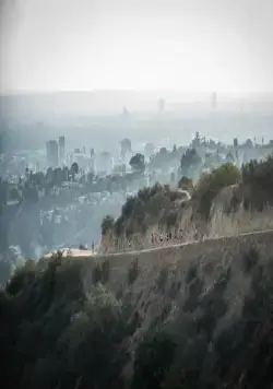 Тренер (2014) через торрент бесплатно Тренер (2014) фильм через торрент бесплатно