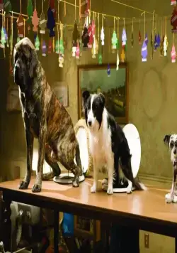 Отель для собак (2008) через торрент скачать Отель для собак (2008) фильм через торрент скачать