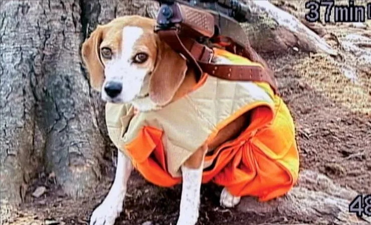 Боулинг для Колумбины (2002) через торрент бесплатно Боулинг для Колумбины (2002) фильм через торрент бесплатно