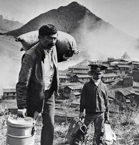 Мимино (1977) через торрент скачать Мимино (1977) фильм через торрент скачать