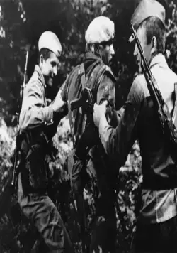 В зоне особого внимания (1977) через торрент скачать В зоне особого внимания (1977) фильм через торрент скачать