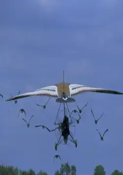 Летите домой (1996) через торрент скачать Летите домой (1996) фильм через торрент скачать