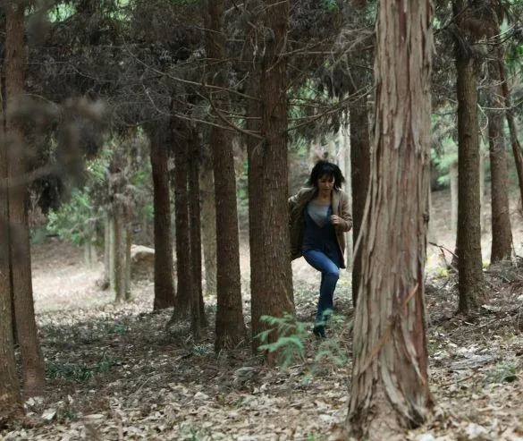 Бестселлер (2010) через торрент скачать Бестселлер (2010) фильм через торрент скачать