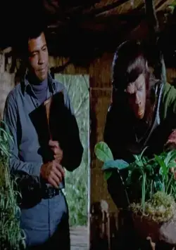 Битва за планету обезьян (1973) через торрент бесплатно Битва за планету обезьян (1973) фильм через торрент бесплатно