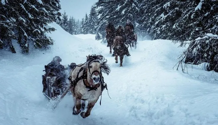 Биркебейнеры (2016) в хорошем качестве через торрент Биркебейнеры (2016) фильм в хорошем качестве через торрент