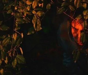 Ночь ведьм (2007) через торрент бесплатно Ночь ведьм (2007) фильм через торрент бесплатно