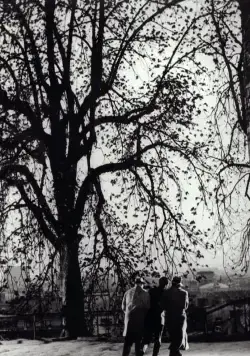 Процесс (1962) через торрент бесплатно Процесс (1962) фильм через торрент бесплатно