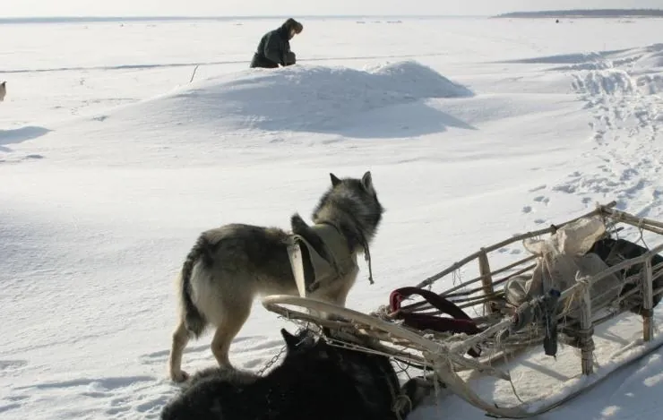 Счастливые люди: Год в тайге (2010) через торрент скачать Счастливые люди: Год в тайге (2010) фильм через торрент скачать