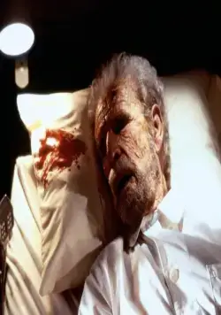 Дело о пеликанах (1993) через торрент скачать Дело о пеликанах (1993) фильм через торрент скачать